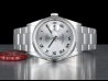 Rolex Datejust 36 Oyster Rhodium/Rodio Roman - Rolex Guarantee  Watch  16200